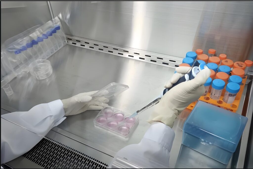 维州快讯 关于CGT产品的前临床试验考量 - 物种、毒理试验、生物分布、剂量转换